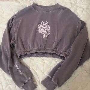 Darc sport cropped sweater